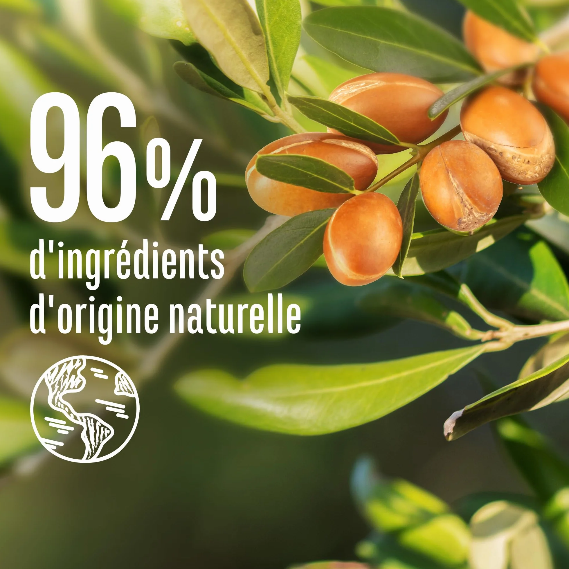 Le Petit Marseillais Masque 4 en 1 Nutrition Intense Huile d'Argan Bio 370 ml Cheveux Très Secs Sans Silicone