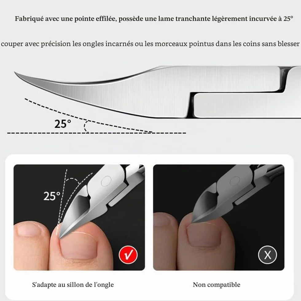 DAZISEN Coupe Ongles Acier Inoxydable Pince à Ongles Professionnel