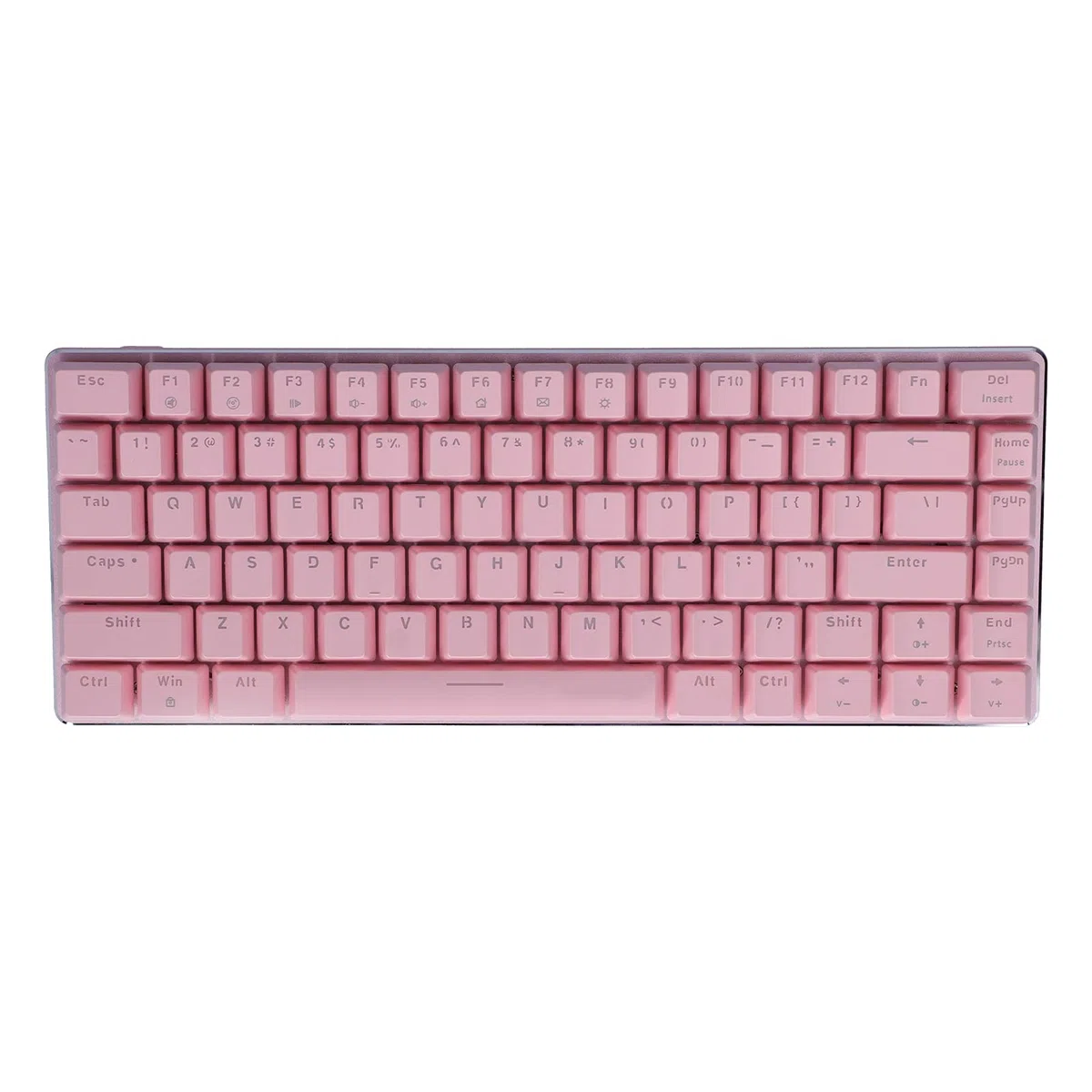 Ausla Clavier USB 82 Touches Type-C, Rétroéclairage Blanc Mécanique
