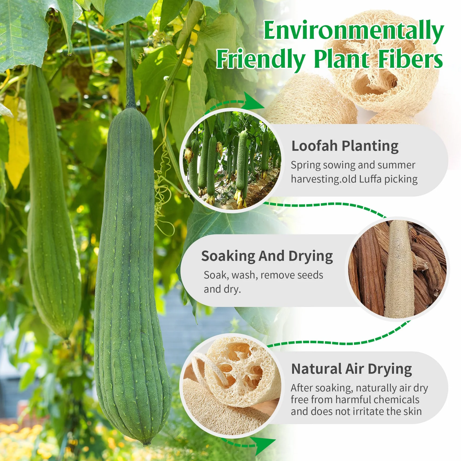Éponge Loofah Naturel Entier 6 Pièces, Fibres Végétales Biodégradables pour Salle de Bain et Douche