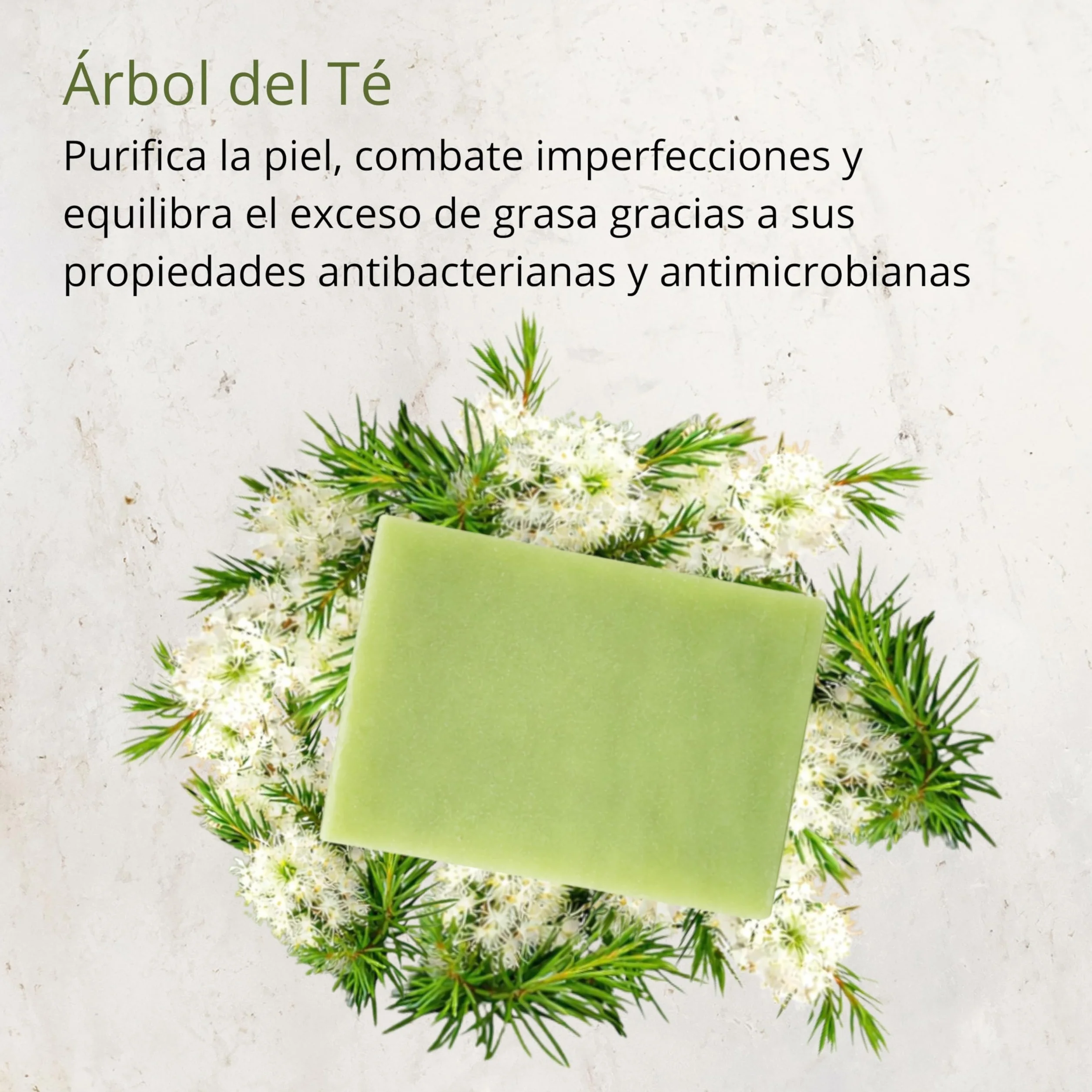 Savon Tea Tree à l'huile d'olive 100 g – savon solide corps et visage, cosmétique naturelle pour peaux grasses et mixtes