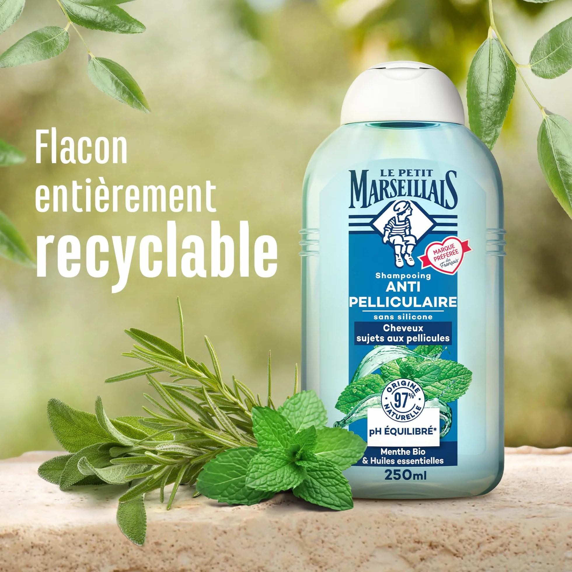 Le Petit Marseillais Shampooing Anti-Pelliculaire Menthe Bio & Huiles Essentielles 250 ml