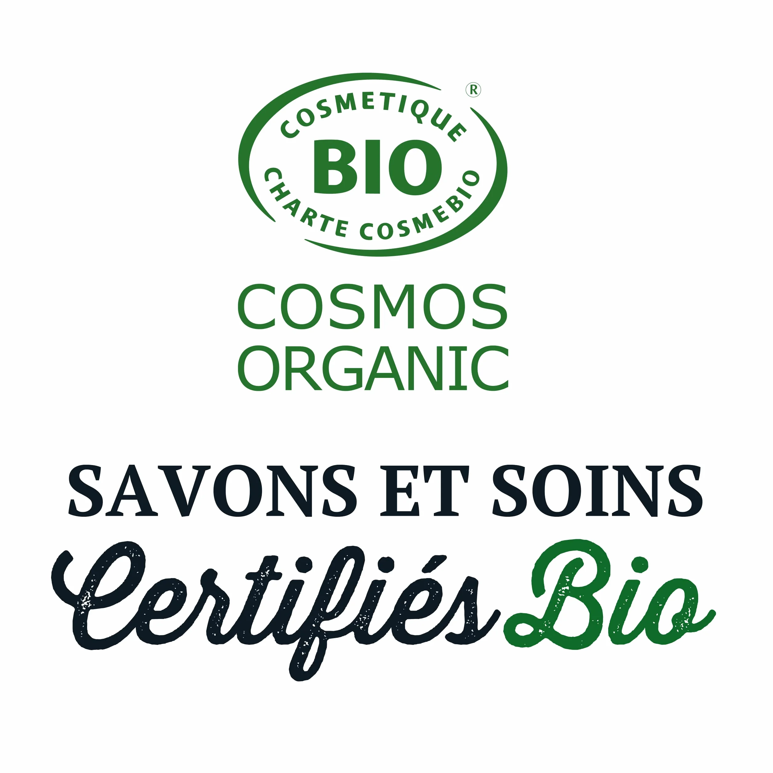 Briochin P'ti Bio Gel Lavant 2-en-1 Corps & Cheveux A La Pâquerette 250 ml Certifié Bio
