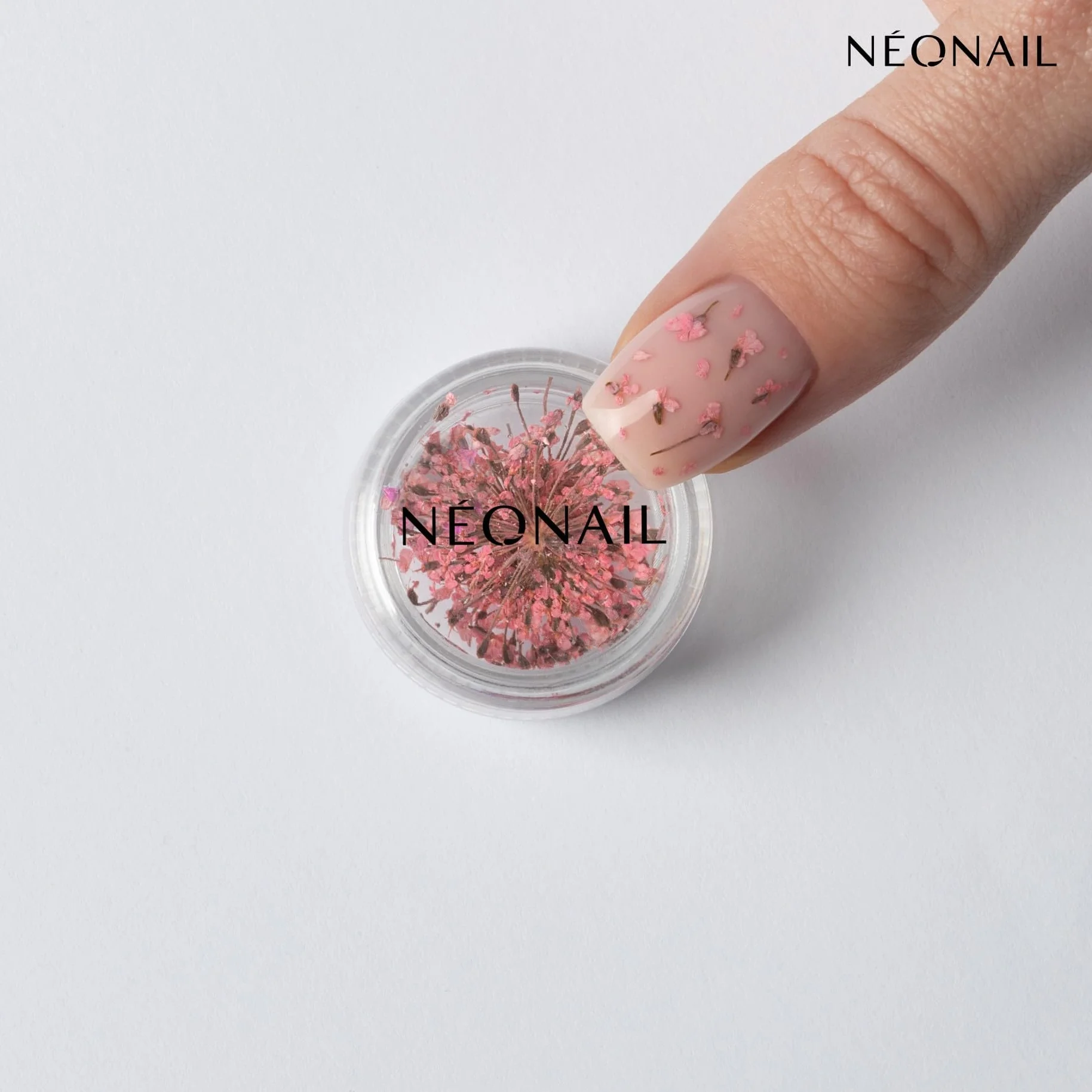 NEONAIL Fleurs Séchées Set de décoration d'ongles Nail Art 3 couleurs rose violet orange