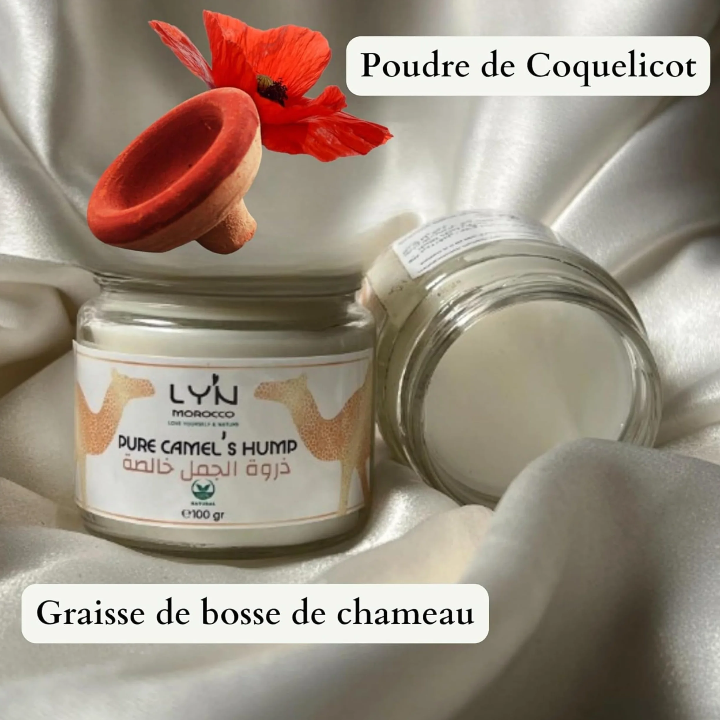 LY'N MOROCCO Gommage Pieds Exfoliant Bosse de Chameau Sel Marin 200 Gr Peeling Pied Soin des Pieds