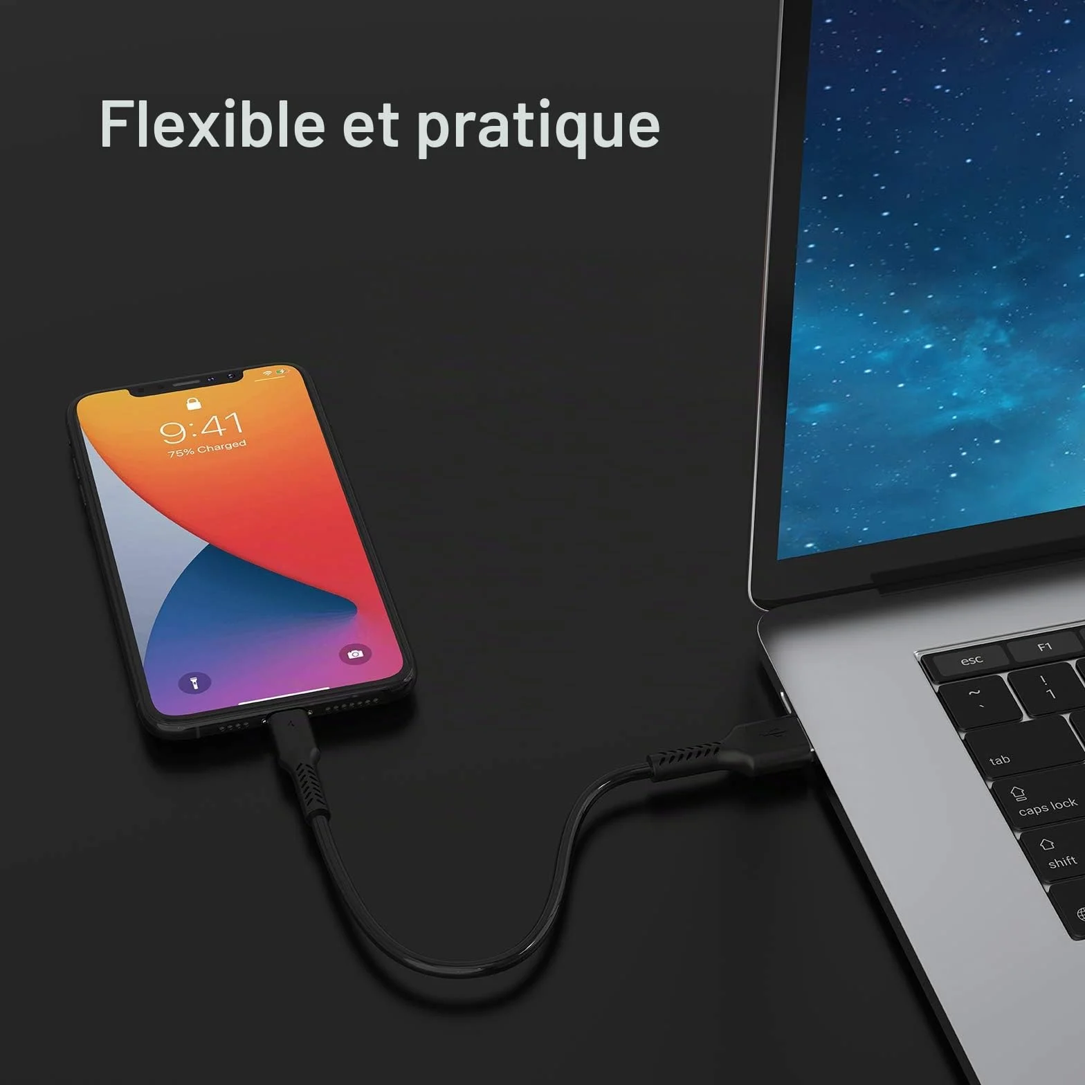 Lot de 5 Câble Lightning vers USB 20cm Charge Rapide pour iPhone - Noir