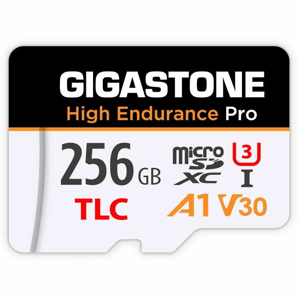 GIGASTONE Carte Micro SD 256 Go Haute Endurance Pro Series 100 Mo/s