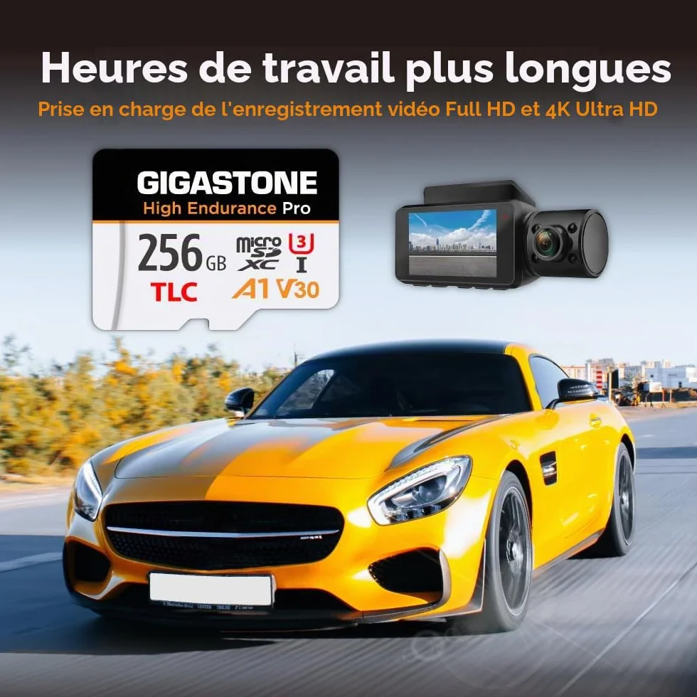 GIGASTONE Carte Micro SD 256 Go Haute Endurance Pro Series 100 Mo/s