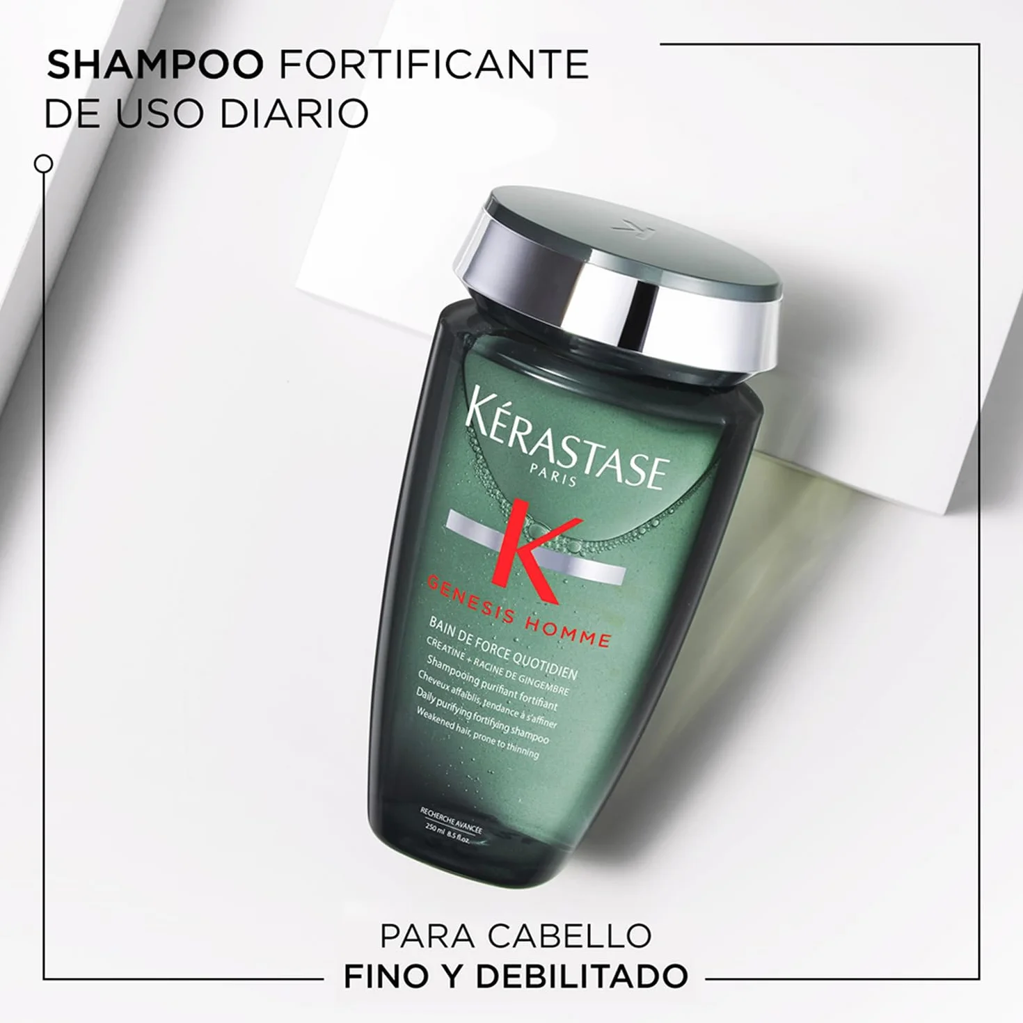 KERASTASE Genesis Homme Bain de Force Quotidien Shampoing Purifiant Cheveux Cuir Chevelu Barbe Créatine Racine de Gingembre Sans Silicone 250 ml