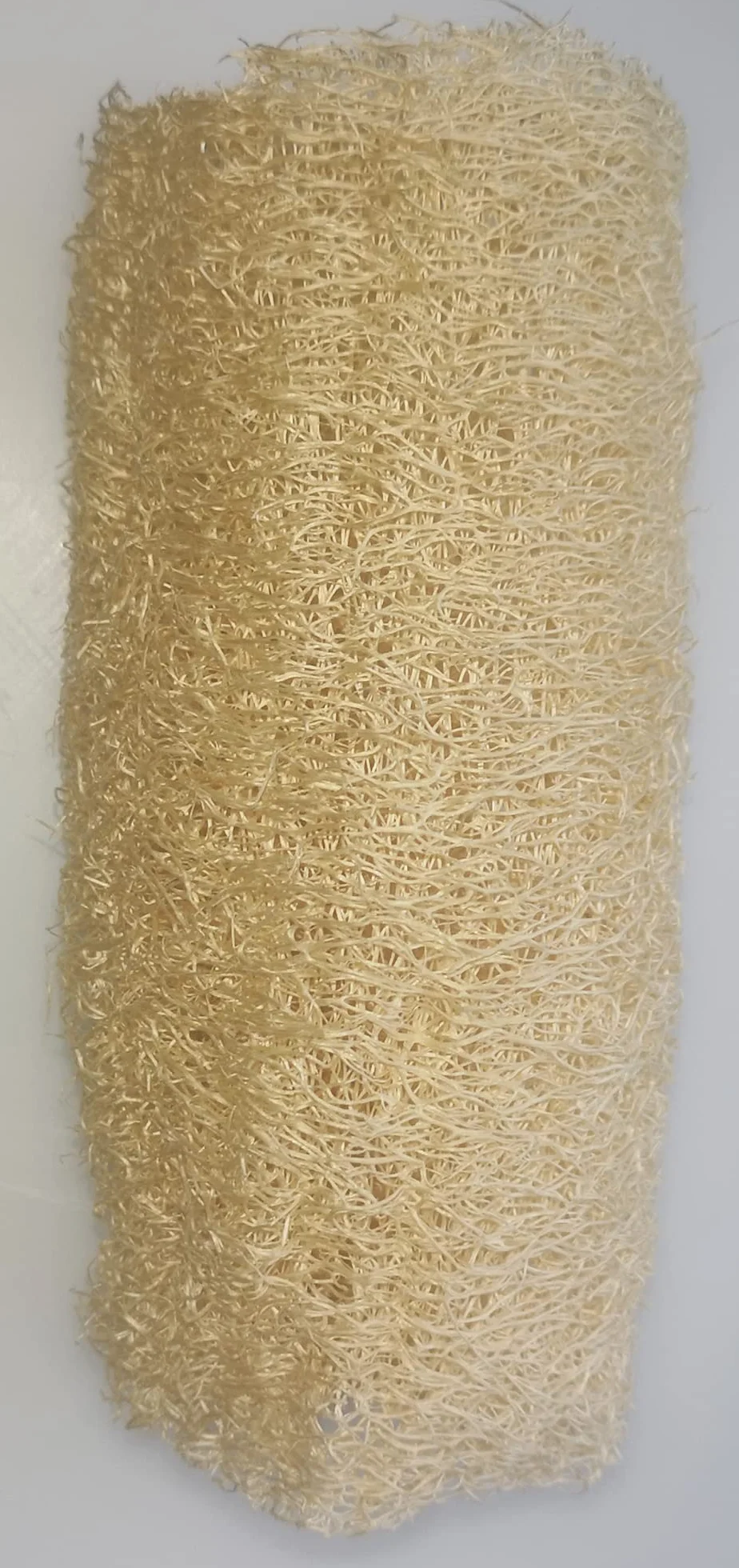Semences de Luffa BIO, éponge végétale - 25 graines