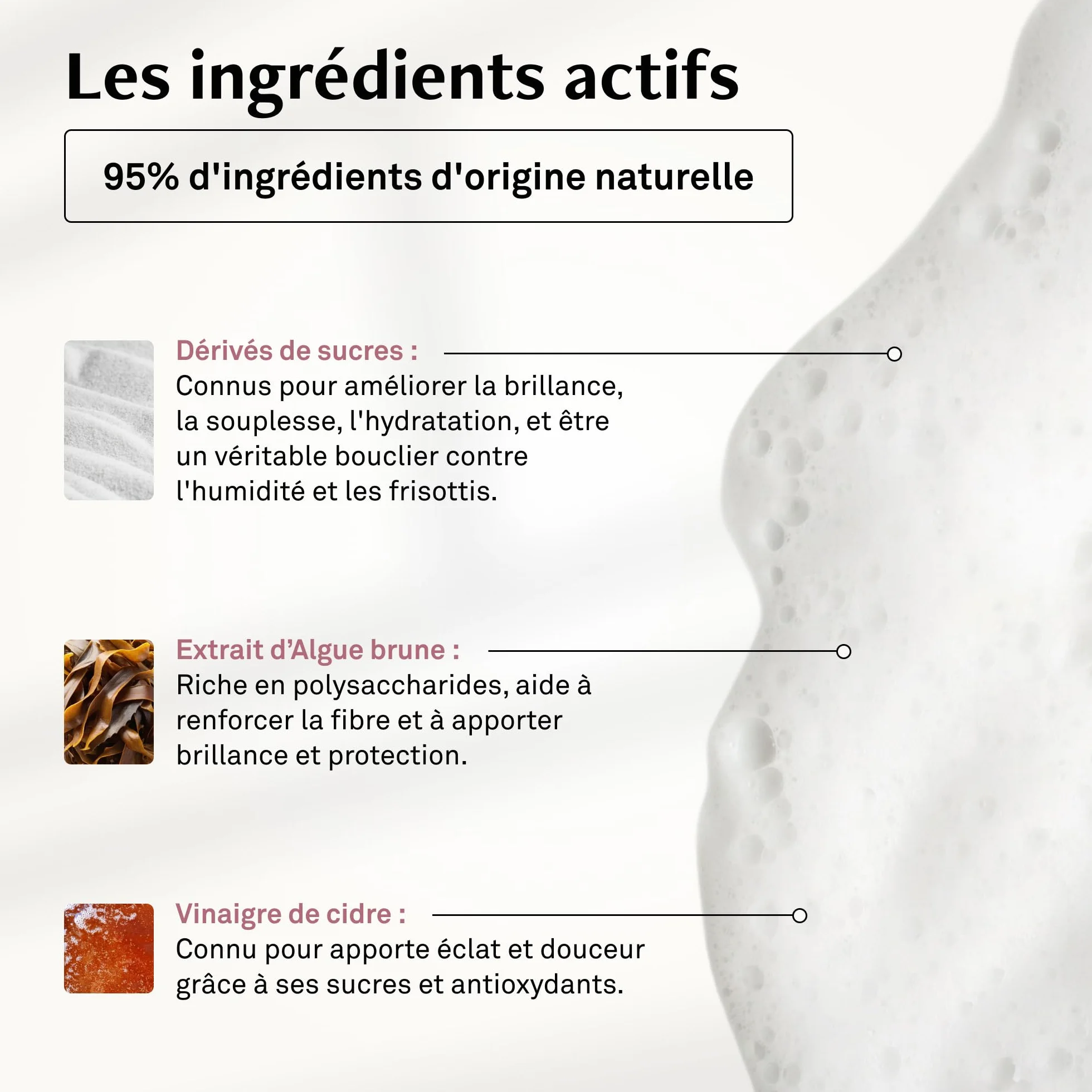 LUXEOL Shampooing Brillance 200 ml Cheveux brillants hydratés sans frisottis 96h 95% Ingrédients d'Origine Naturelle Fabriqué en France