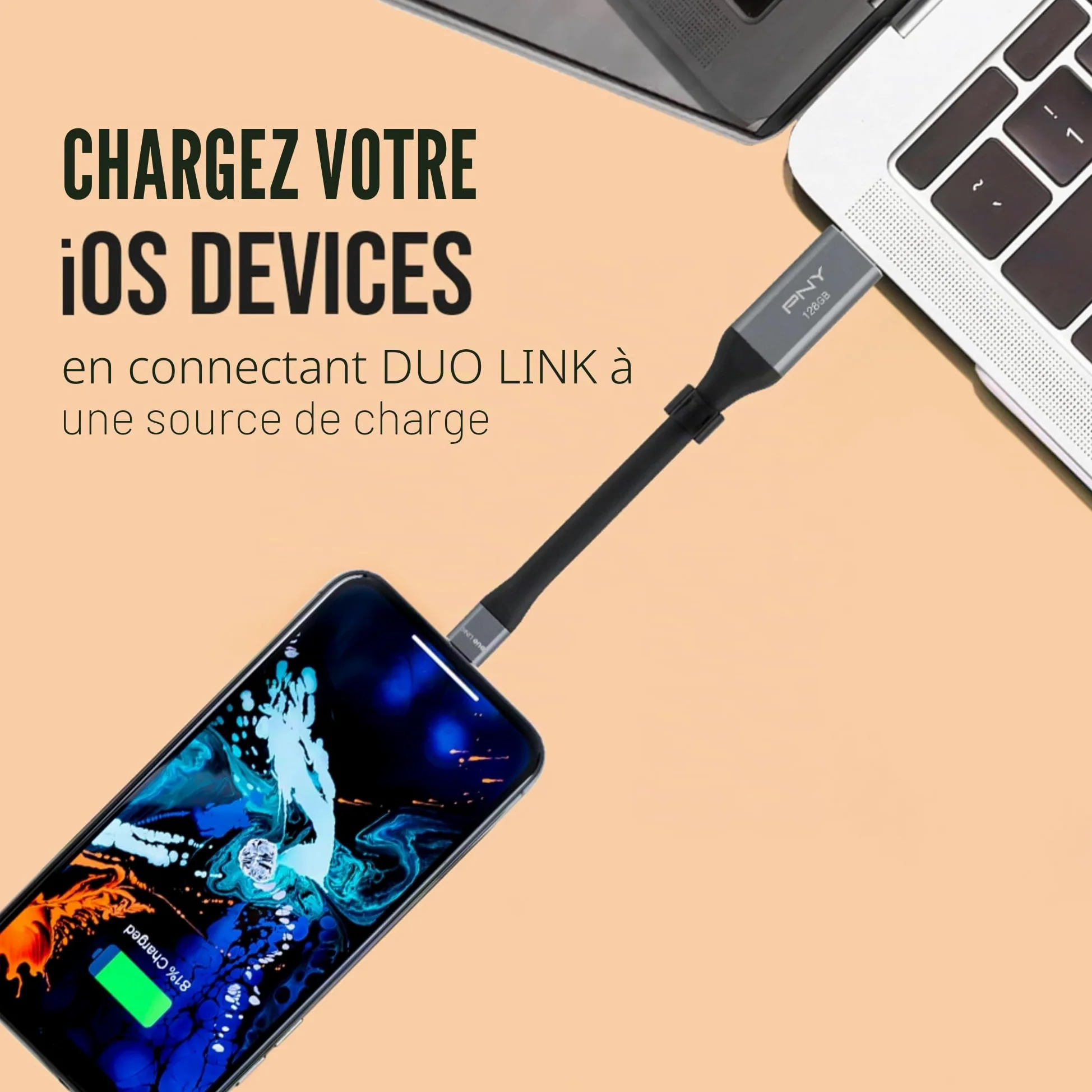 PNY P-FDI64GLA02GC-RB Clé USB 3.0 Gris Métallisé 64 Go