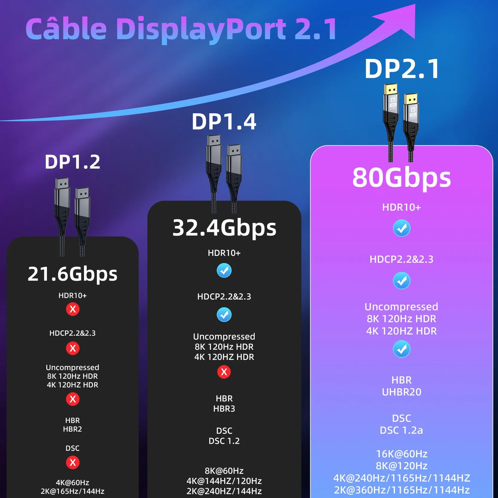 Câble DisplayPort 2m 2.1 16K DP 80Gbps HDR FreeSync G-Sync DSC 1.2a HDCP 2.2