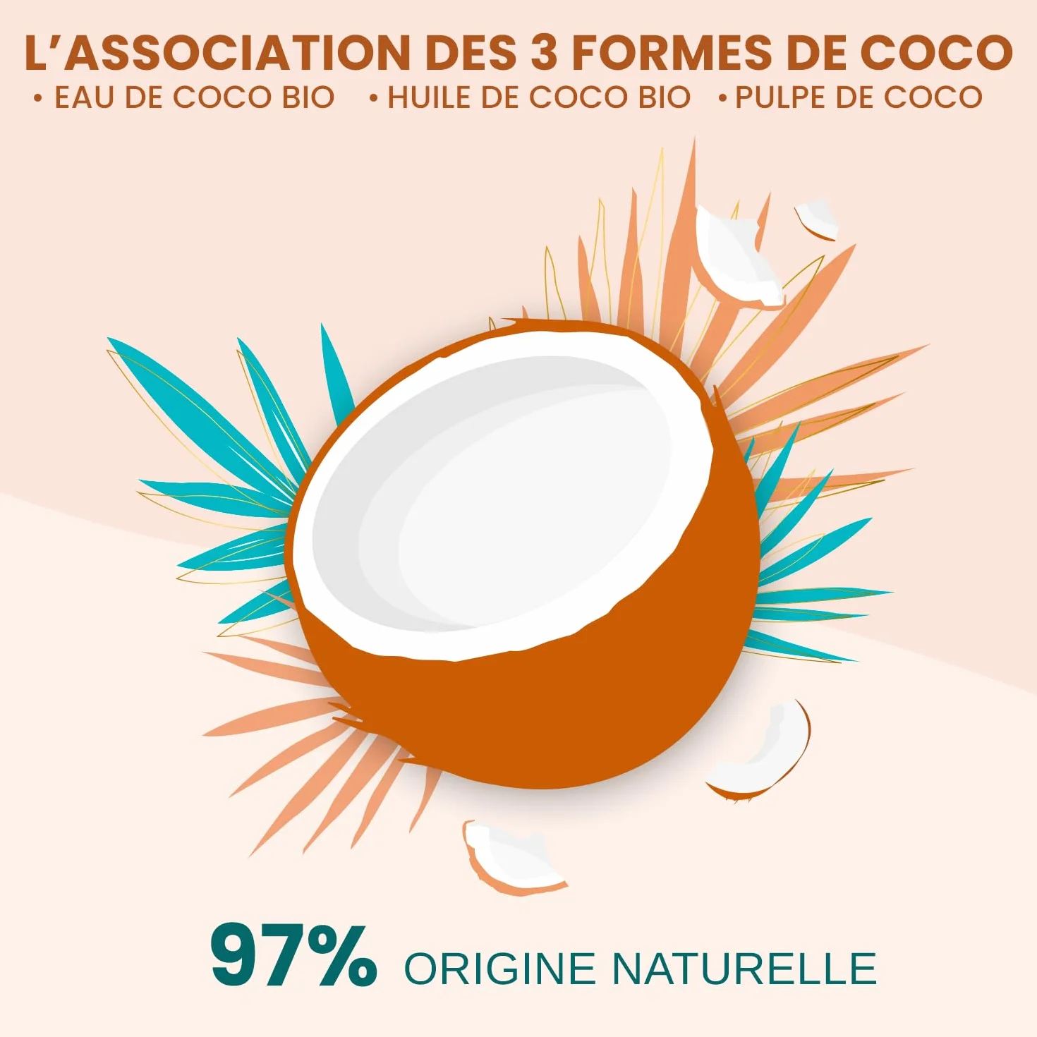 ACTIVILONG Soin Exquis 3-En-1 Coco D'Amour Cheveux Secs Et Texturés 250ml 97% Ingrédients Naturels