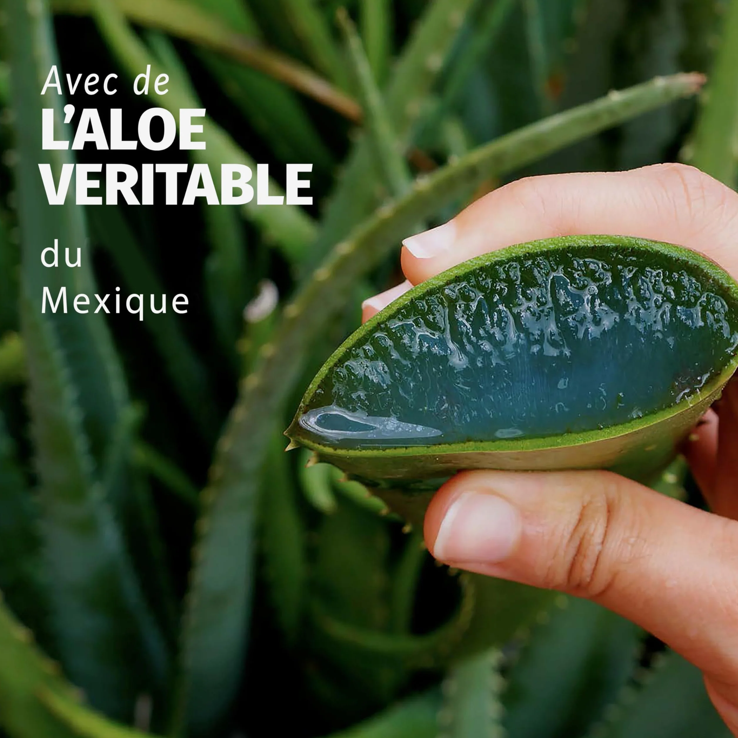 Herbal Essences Après-Shampoing Aloe Hydratant 350ml Cheveux Très Secs Végan