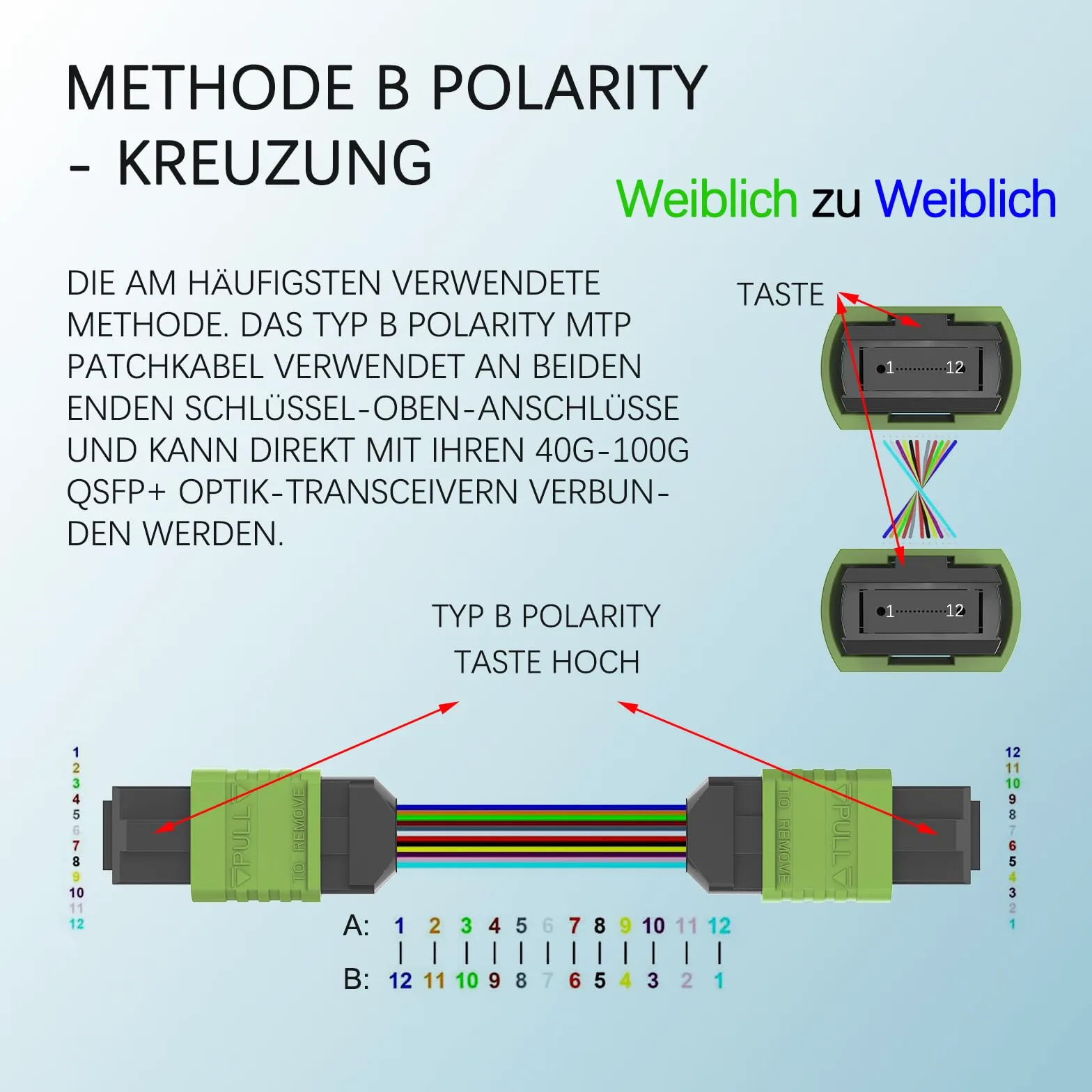 Câble Patch MPO-MPO Multimode 12 Fibres OM3 - Fibre Optique APC Haute Vitesse - Compatible NVIDIA DGX Station - Longueur 20m - Blindé Industriel