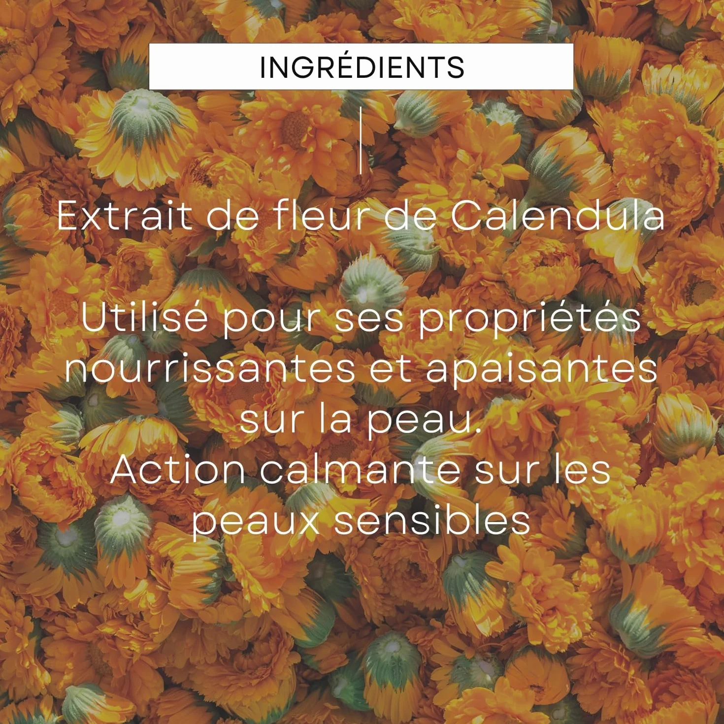 WELEDA Savon végétal au Calendula 100g Bio Vegan NATRUE