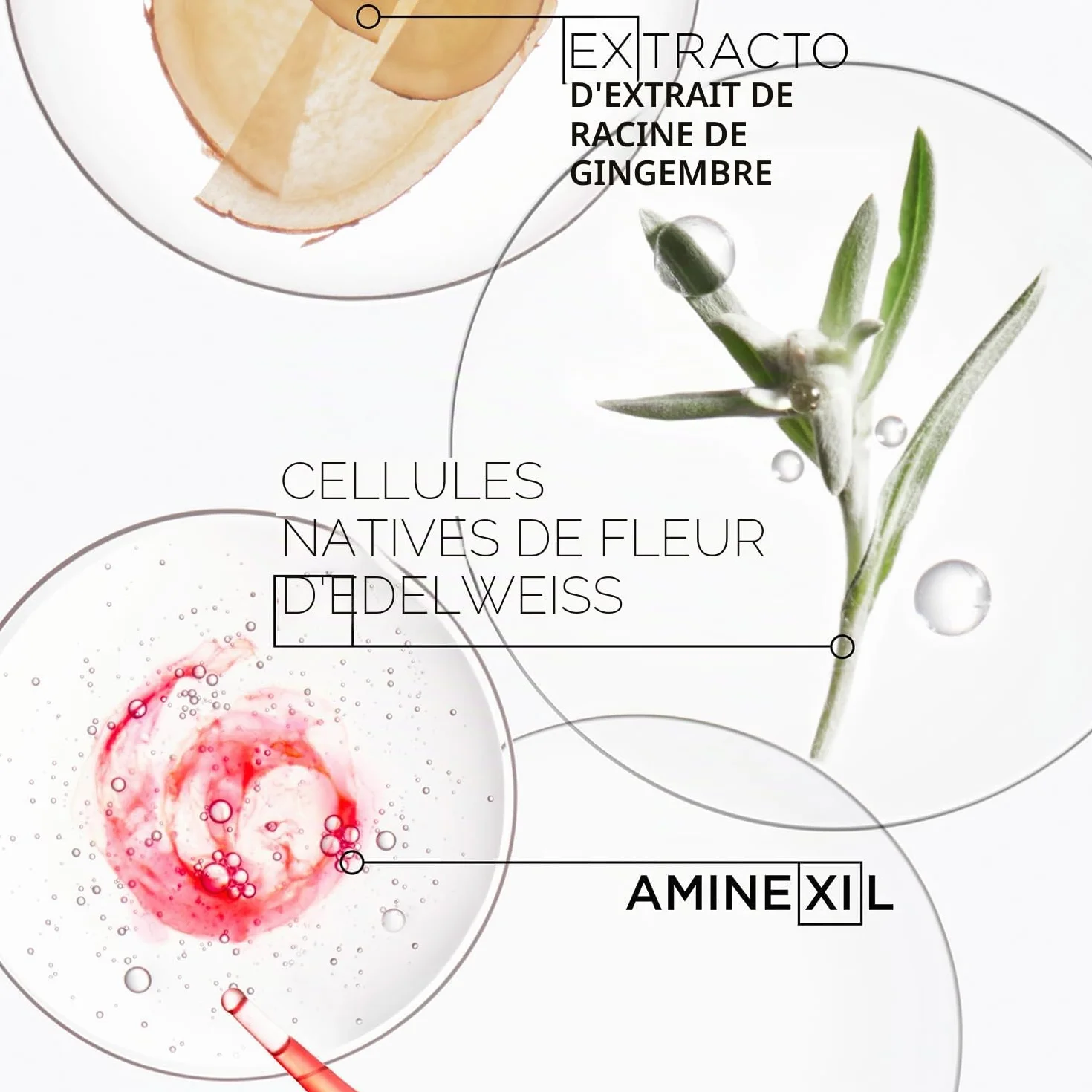 KÉRASTASE Genesis Cure Anti-Chute Fortifiante Aminexil Sans Rinçage Cheveux Fins Cassants
