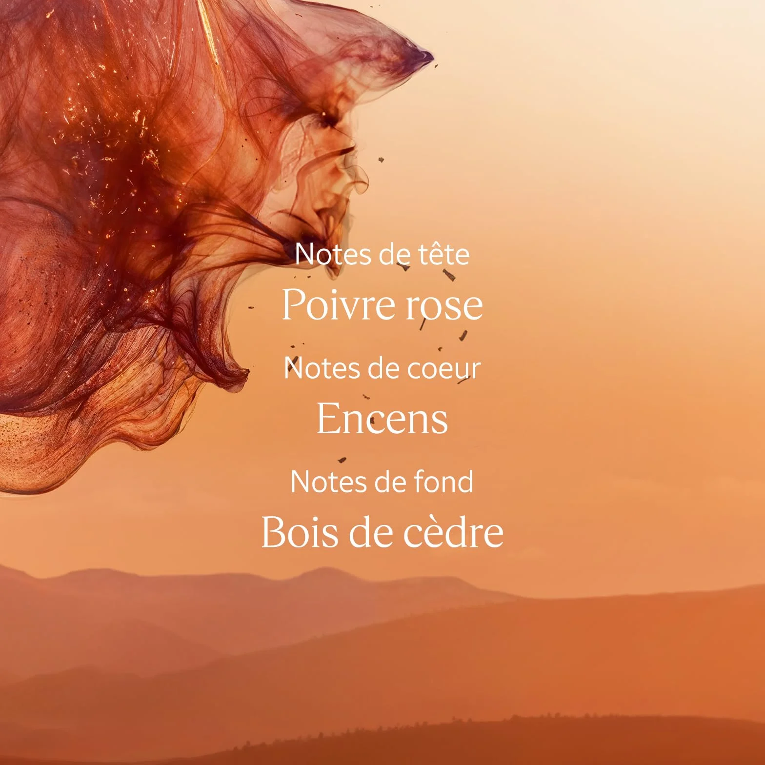 L'OCCITANE Gel Douche Cèdre Encens 250 ml Notes épicées boisées ambrées Fabriqué en France