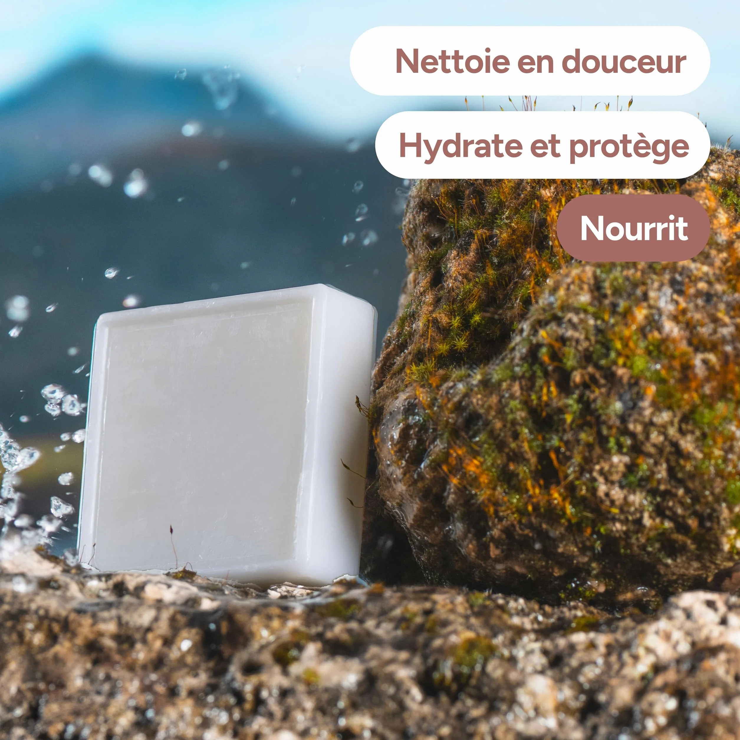 Savon Solide Beurre de Karité & Aloe Vera BIO 100g 98% Origine Naturelle Made in France Protection Douceur