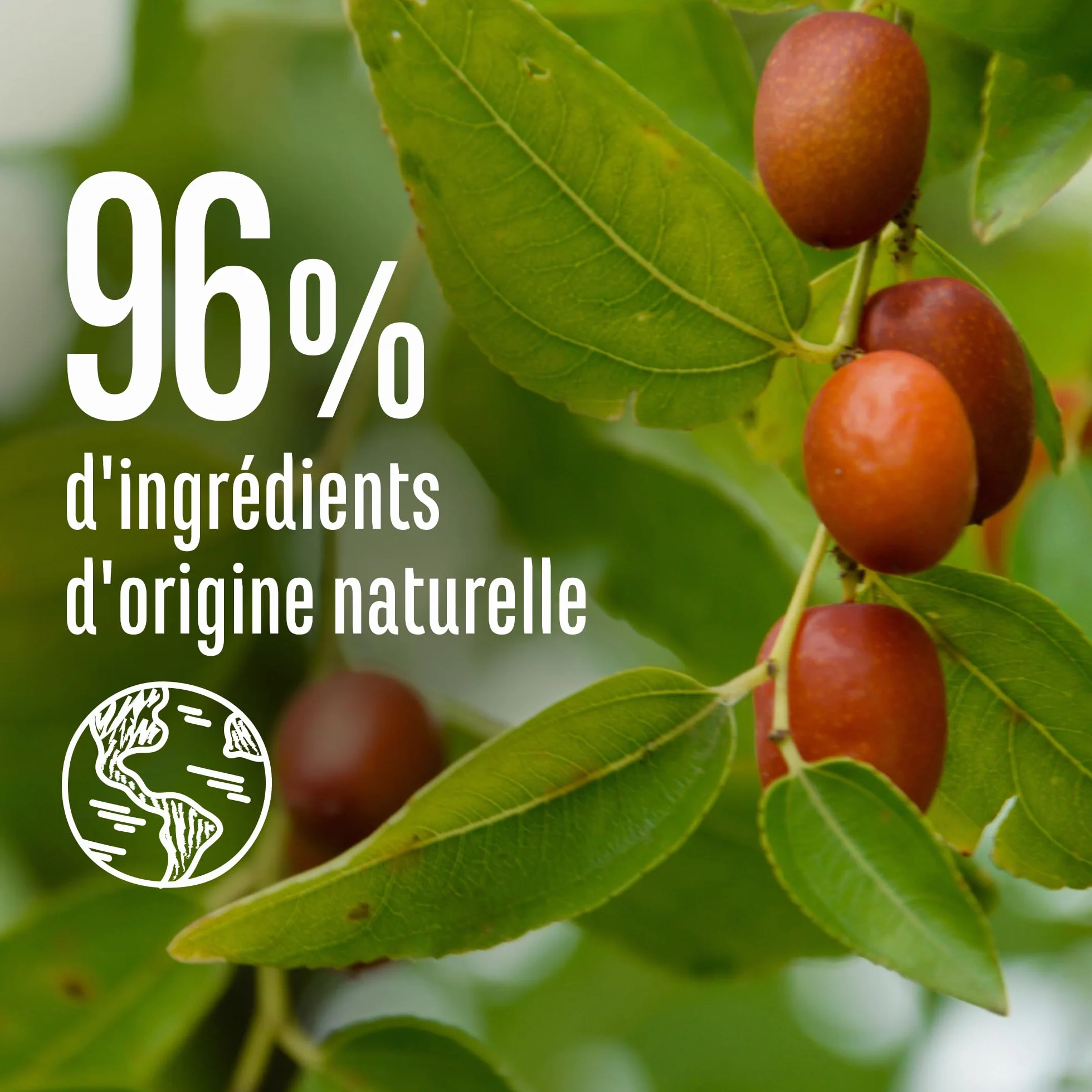 Le Petit Marseillais Masque 4 en 1 Expert Réparation Huile de Jojoba Bio 370 ml Masque Capillaire Cheveux Cassants Soin Sans Silicone 96% Origine Naturelle
