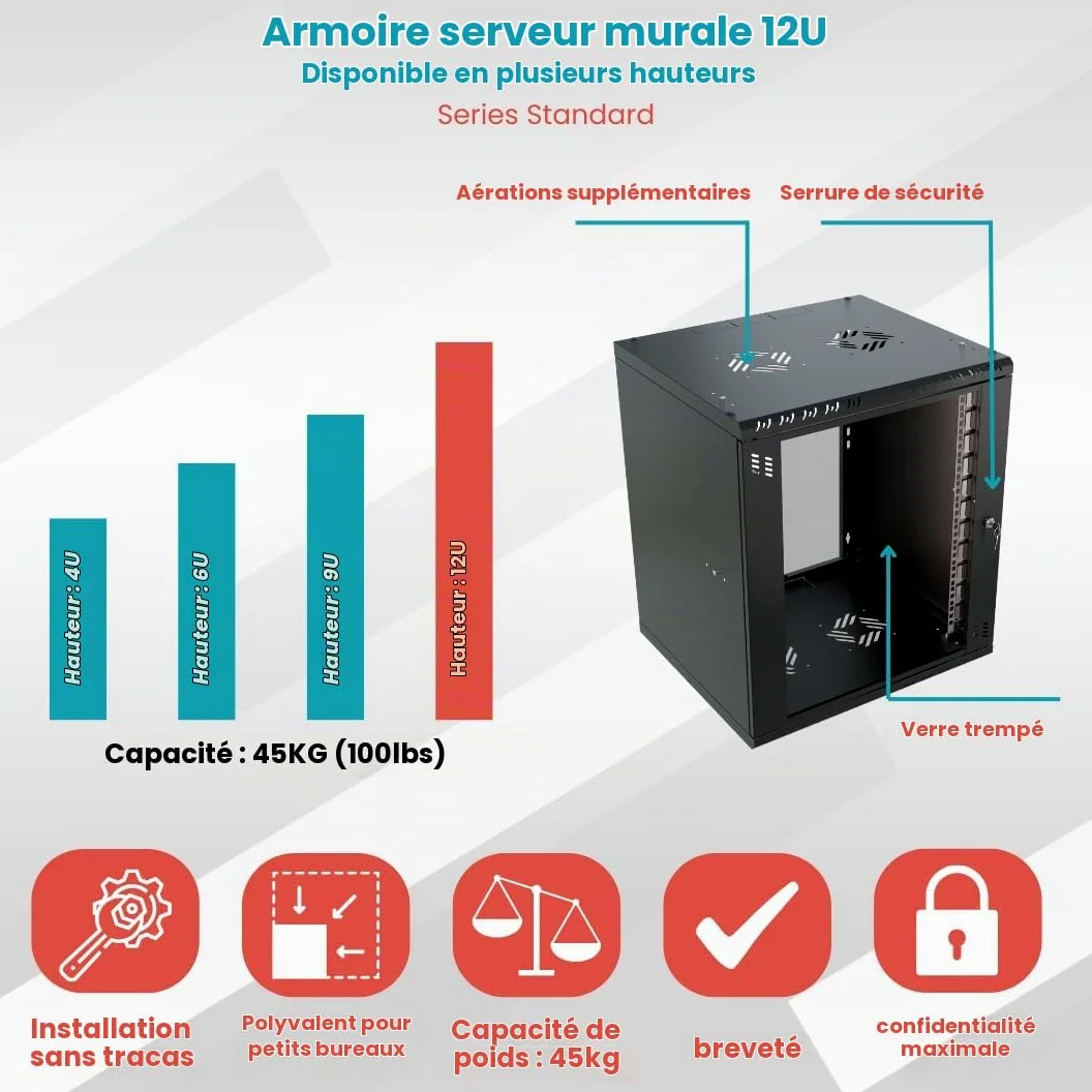 Armoire Réseau 19 Pouces - Baie Informatique 12U - Baie de Brassage pour Montage Mural - Capacité de Charge 55 kg - Profondeur 450 mm - Armoire Informatique - Noir