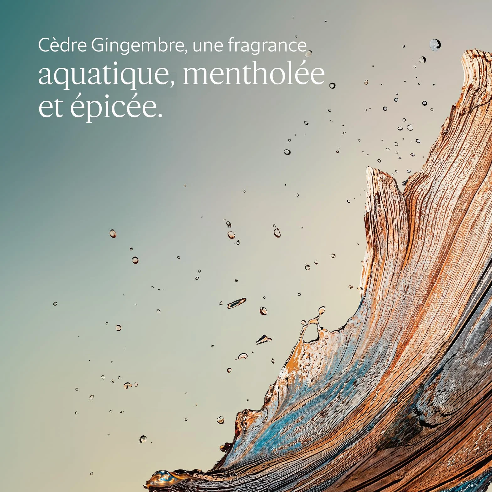 L'OCCITANE Gel Douche Cèdre Gingembre Notes aquatiques mentholées épicées Fabriqué en France