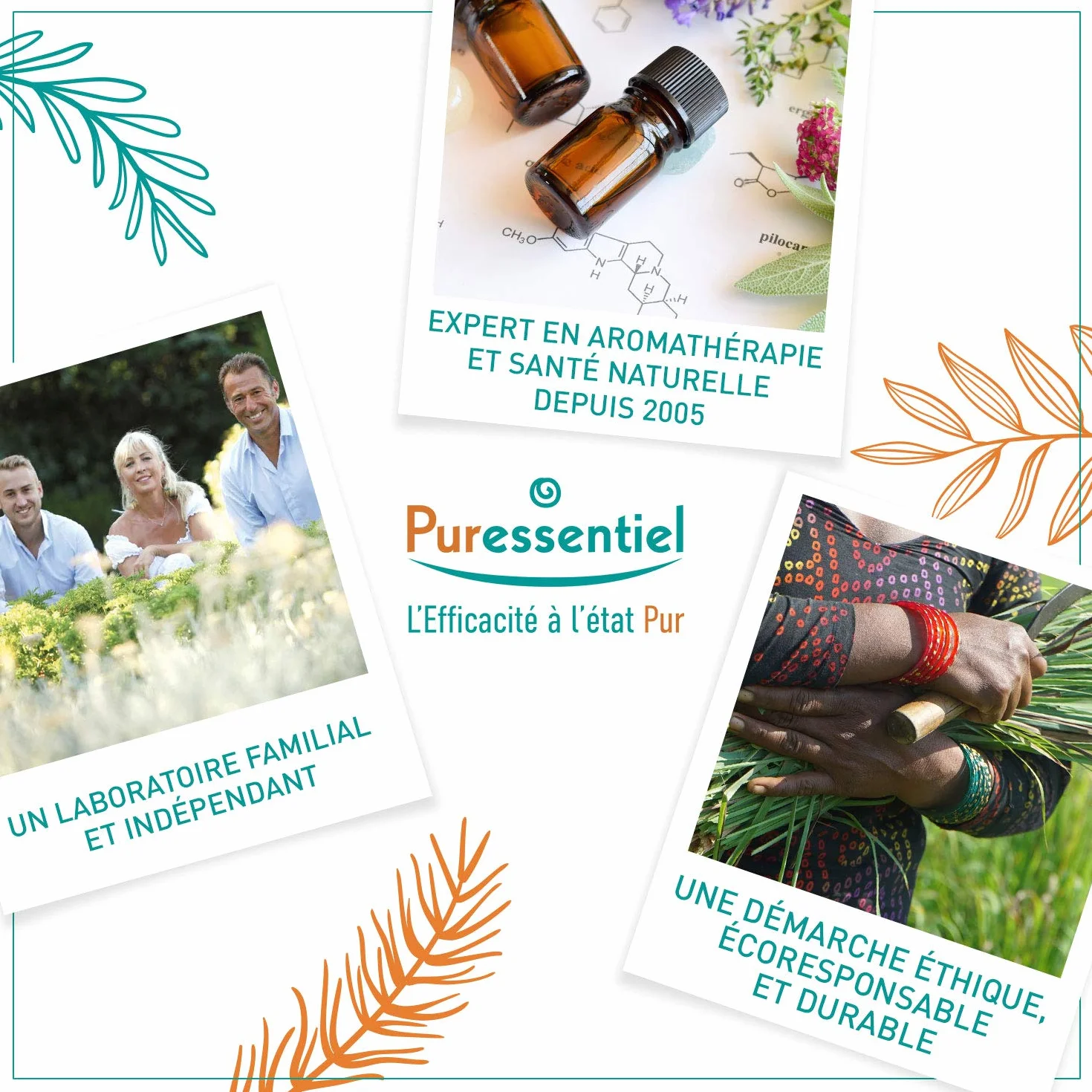 Puressentiel Savon Liquide Surgras BIO aux 3 Huiles Essentielles Antibactérien Visage Mains Corps Peaux Sèches 250ml