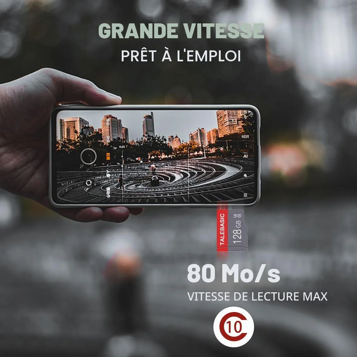 Cartes Micro SD 128 Go Classe 10 Haute Vitesse Lot de 2 avec Adaptateur SD
