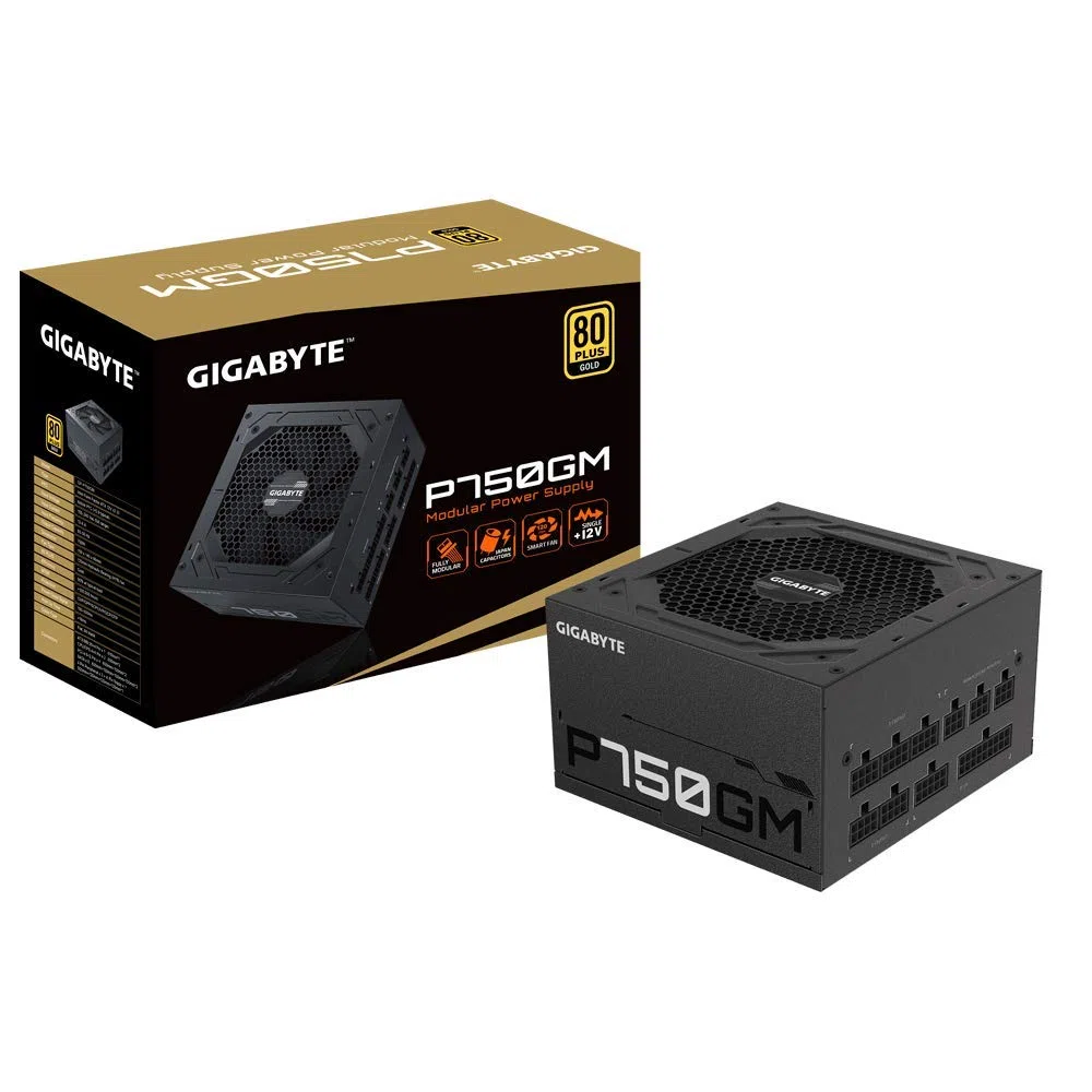 Gigabyte P750GM unité d'alimentation d'énergie 750 W 20+4 pin ATX ATX Noir
