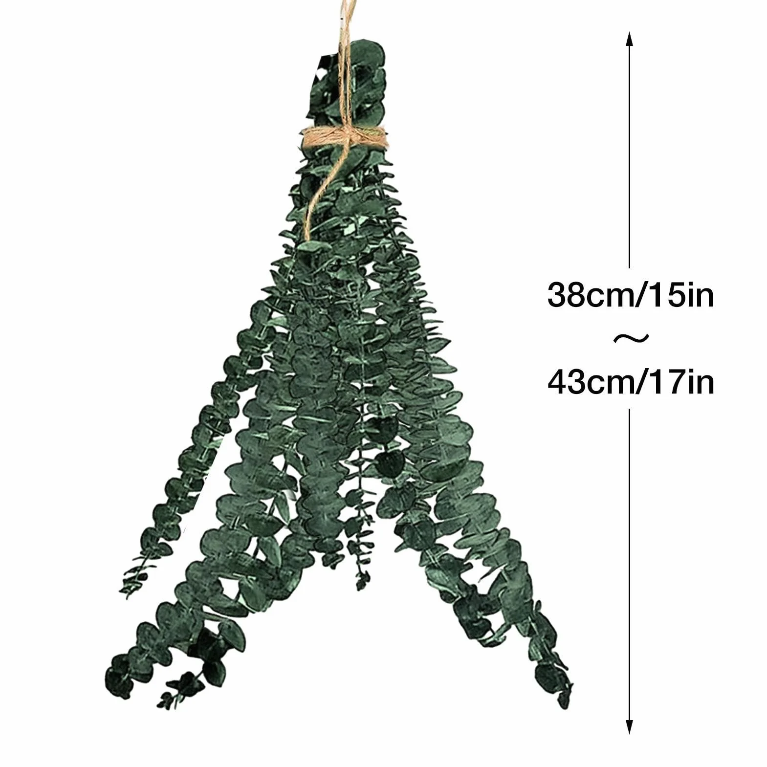 Eucalyptus sec 10 tiges pour salle de bain parfum rafraîchissant