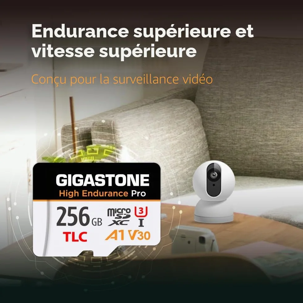 GIGASTONE Carte Micro SD 256 Go Haute Endurance Pro Series 100 Mo/s