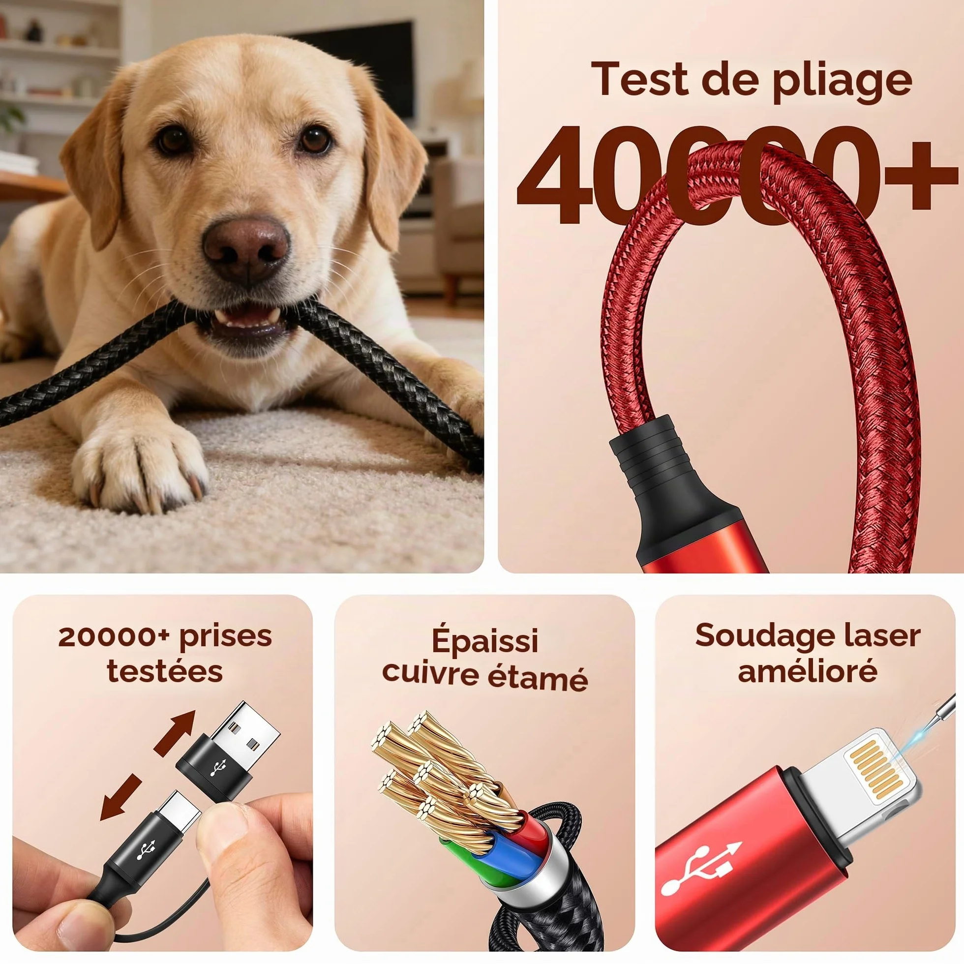 Minlu Câble de Charge Double Type C, Multi USB 4 en 2 [3,5A 1,8M] Charge Rapide USB A/C vers 2*USB-C+Lightning+Micro pour iPhone/Galaxy/Android/Tablette