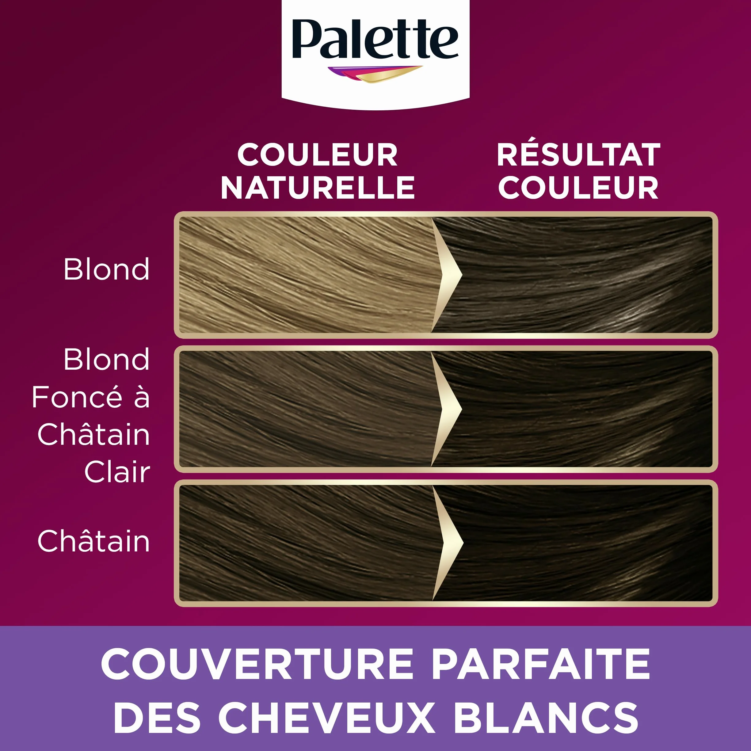 Palette Coloration Permanente Crème Soin 4.65 Châtain Chocolat Couverture Cheveux Blancs Longue Durée