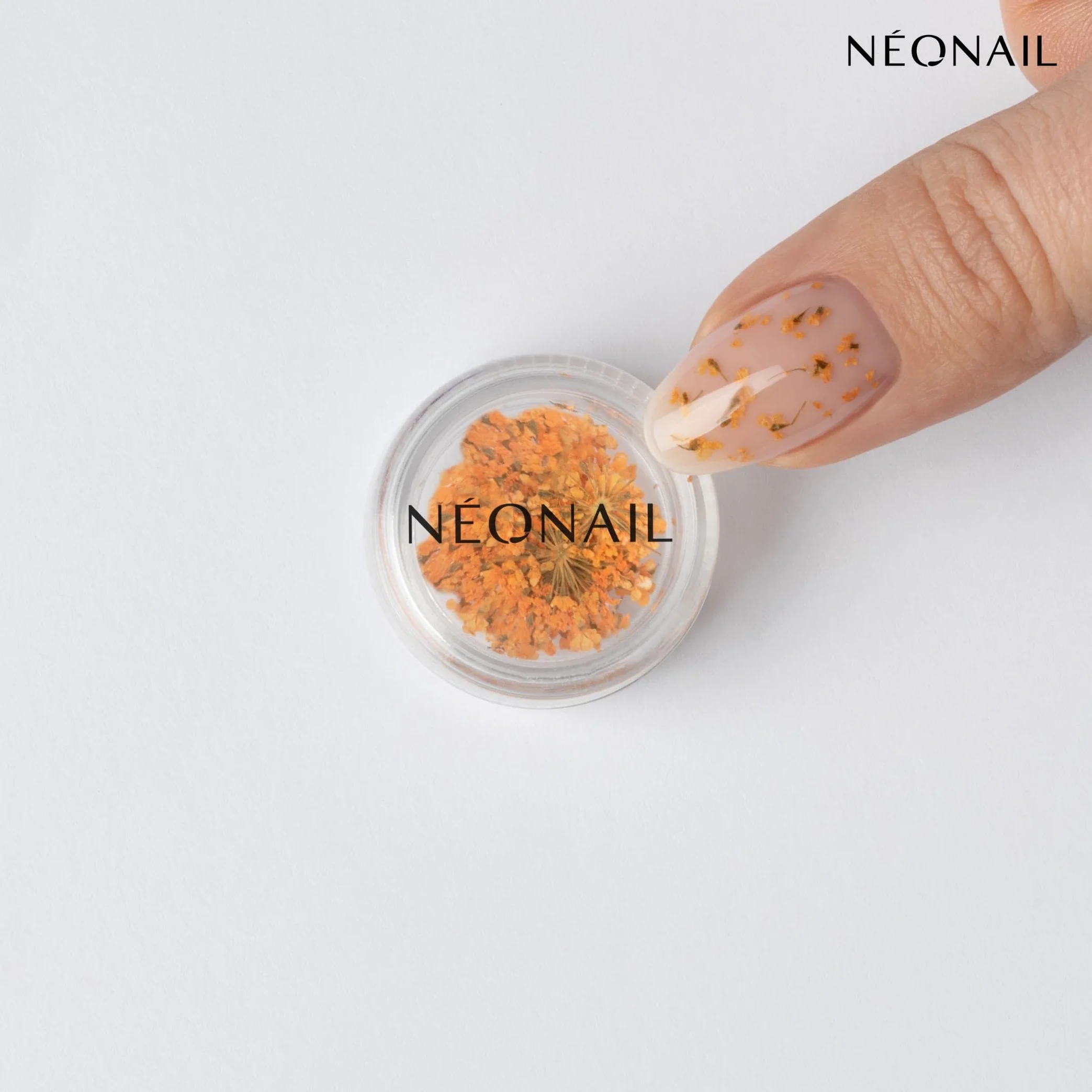NEONAIL Fleurs Séchées Set de décoration d'ongles Nail Art 3 couleurs rose violet orange