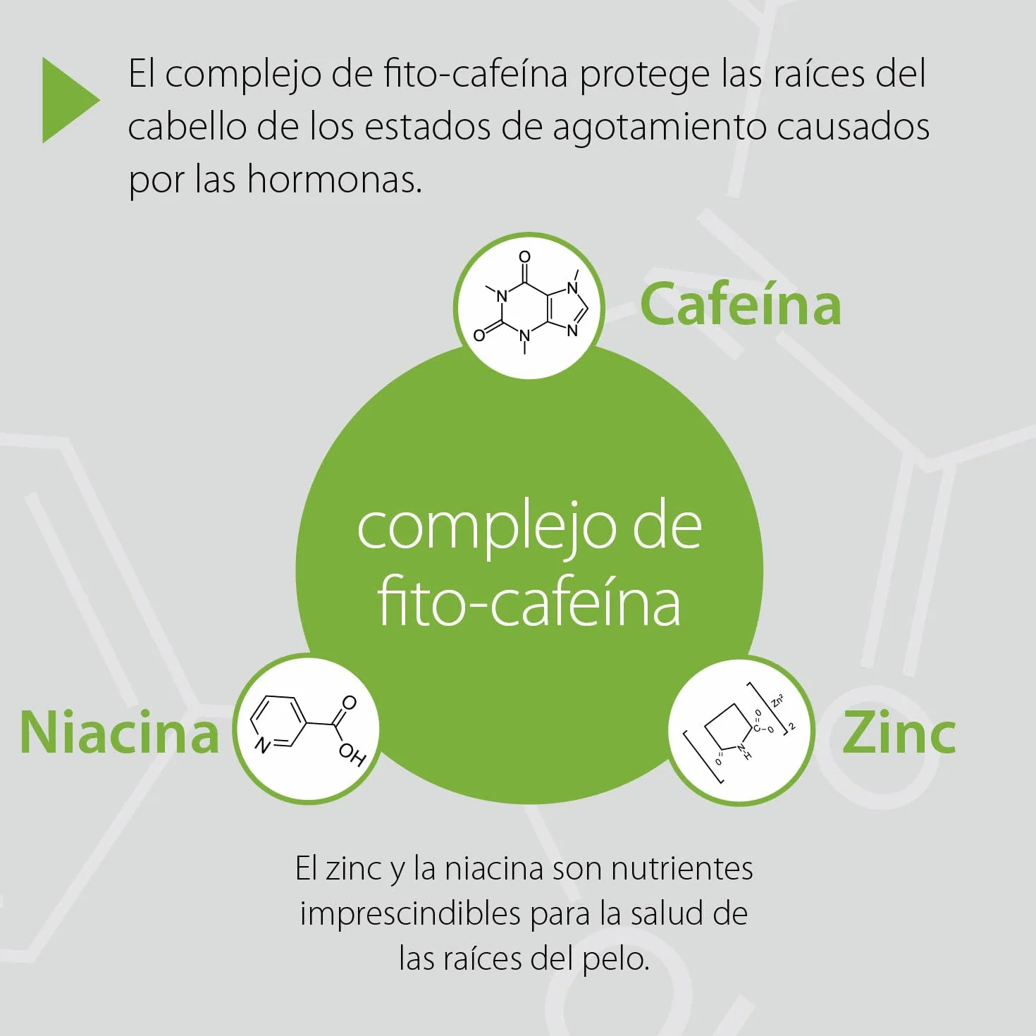 Coffein-Tonicum 200ml